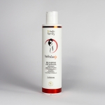 Slika Hello Lady Sampon